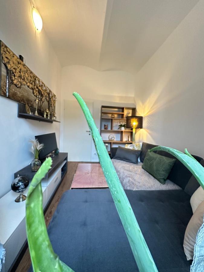 Ferienwohnung Marion Klagenfurt Zentrumsnaehe クラーゲンフルト エクステリア 写真