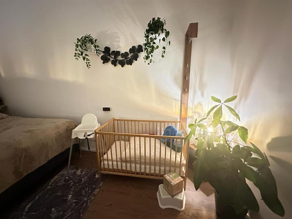 Ferienwohnung Marion Klagenfurt Zentrumsnaehe クラーゲンフルト エクステリア 写真
